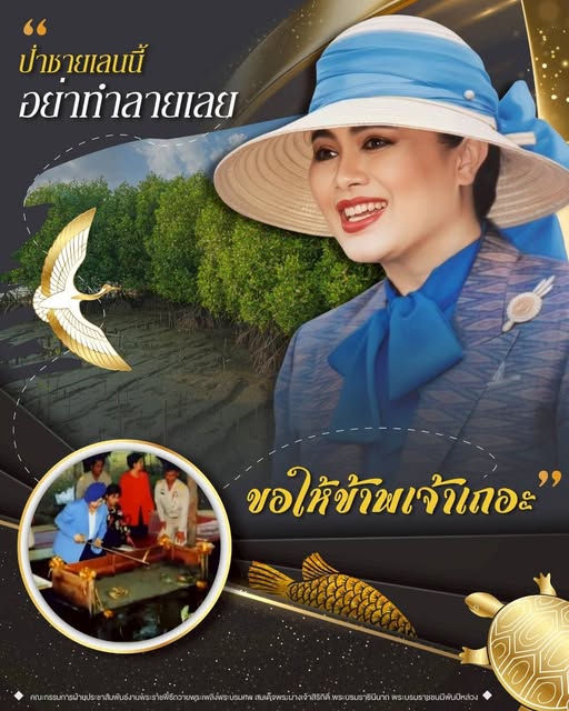 "ป่าชายเลนนี้อย่าทำลายเลย ขอให้ข้าพเจ้าเถอะ"